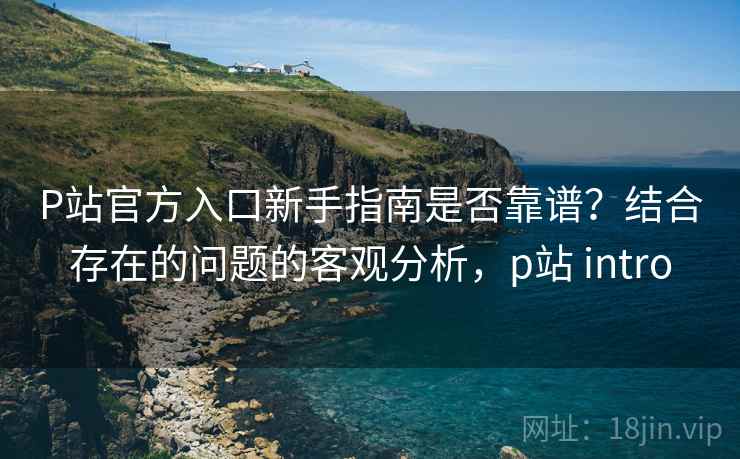 P站官方入口新手指南是否靠谱？结合存在的问题的客观分析，p站 intro  第2张