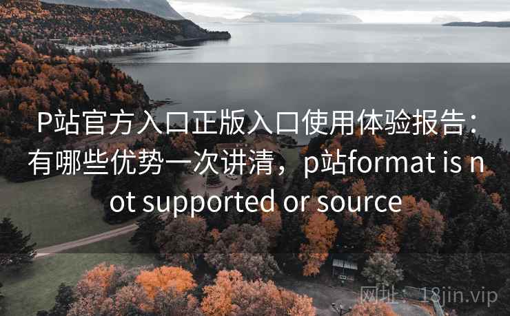 P站官方入口正版入口使用体验报告：有哪些优势一次讲清，p站format is not supported or source