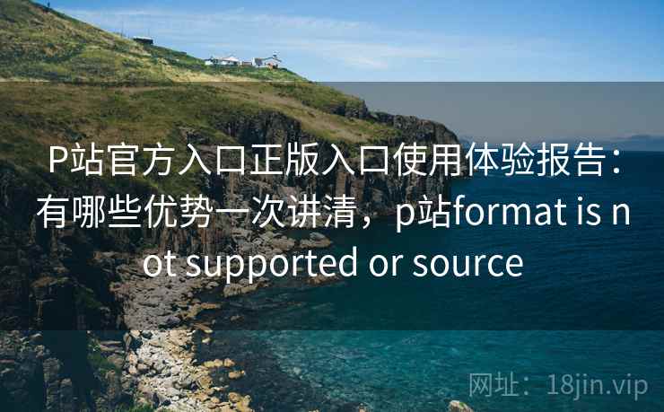 P站官方入口正版入口使用体验报告：有哪些优势一次讲清，p站format is not supported or source  第2张