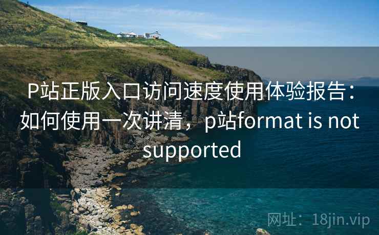P站正版入口访问速度使用体验报告：如何使用一次讲清，p站format is not supported  第2张