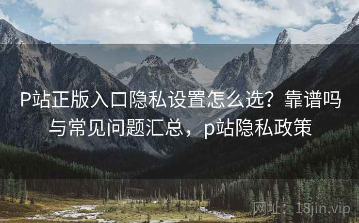 P站正版入口隐私设置怎么选？靠谱吗与常见问题汇总，p站隐私政策  第2张