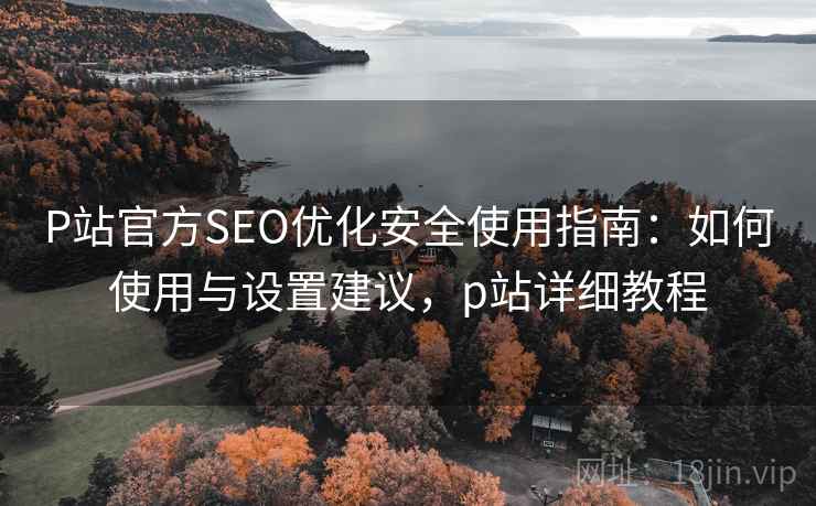 P站官方SEO优化安全使用指南:如何使用与设置建议,p站详细教程 第2张 P站官方SEO优化安全使用指南:如何使用与设置建议,p站详细教程 第2张