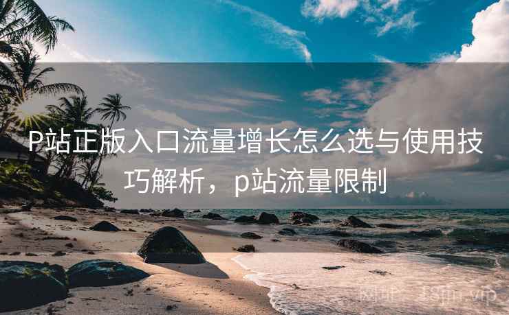 P站正版入口流量增长怎么选与使用技巧解析，p站流量限制  第2张