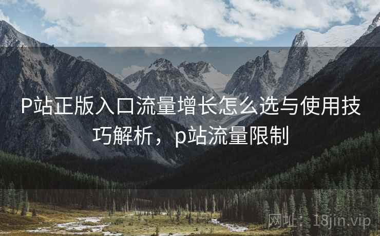 P站正版入口流量增长怎么选与使用技巧解析，p站流量限制  第1张
