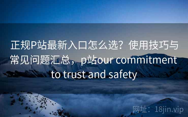 正规P站最新入口怎么选？使用技巧与常见问题汇总，p站our commitment to trust and safety  第2张