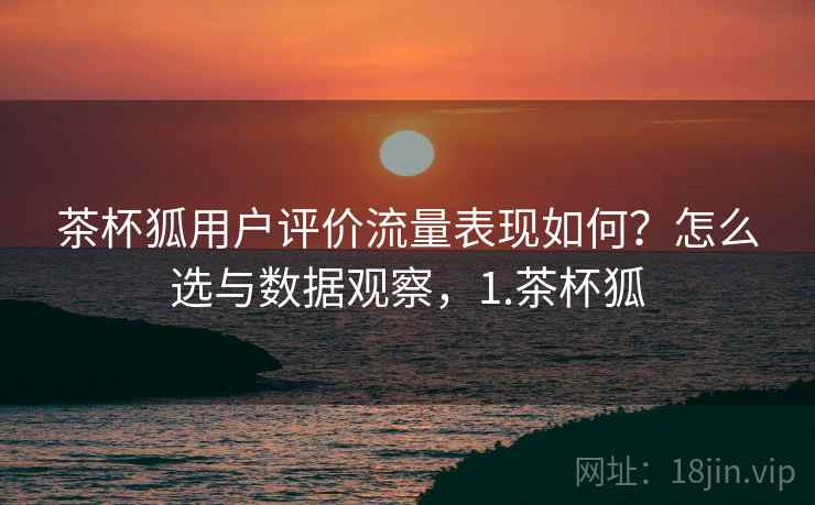 茶杯狐用户评价流量表现如何？怎么选与数据观察，1.茶杯狐  第1张