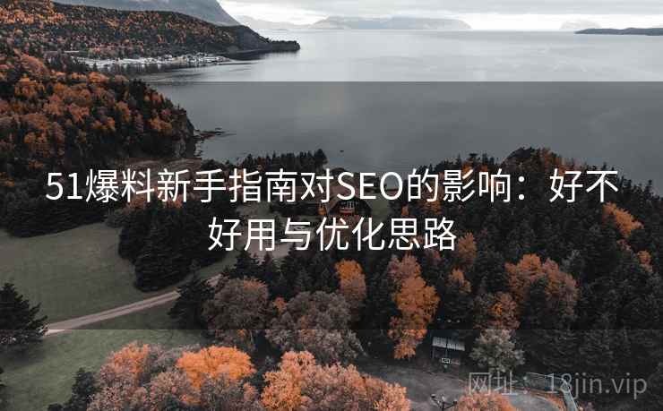 51爆料新手指南对SEO的影响：好不好用与优化思路  第2张