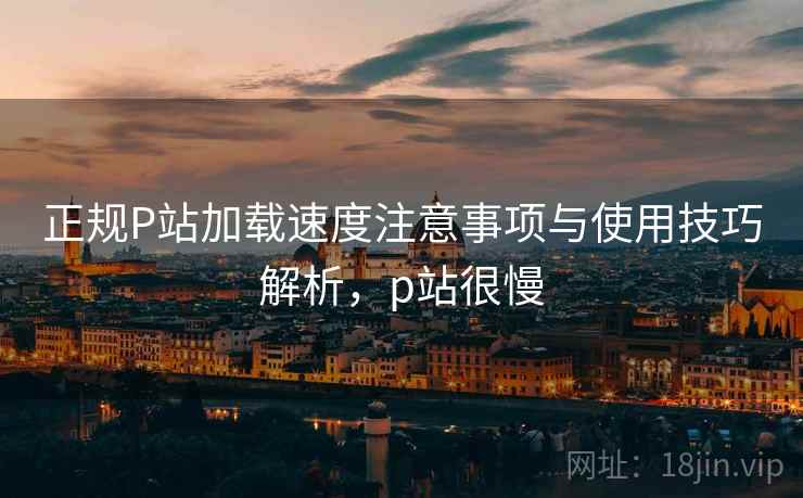 正规P站加载速度注意事项与使用技巧解析,p站很慢 第2张 正规P站加载速度注意事项与使用技巧解析,p站很慢 第2张
