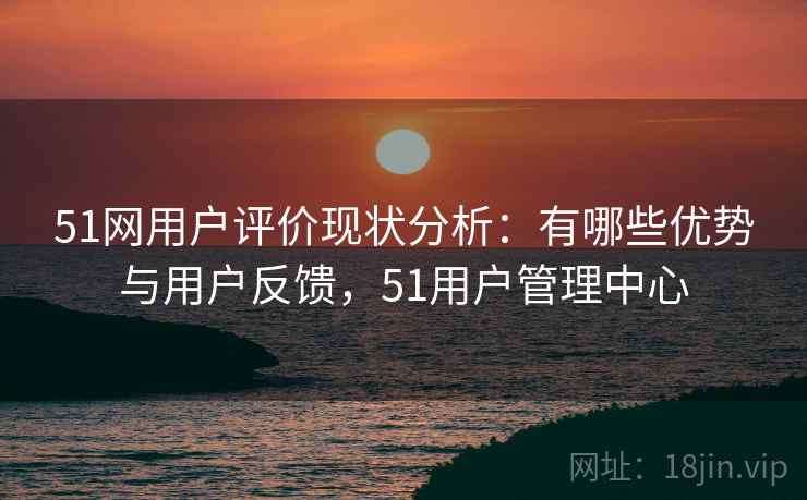 51网用户评价现状分析:有哪些优势与用户反馈,51用户管理中心 第2张 51网用户评价现状分析:有哪些优势与用户反馈,51用户管理中心 第2张