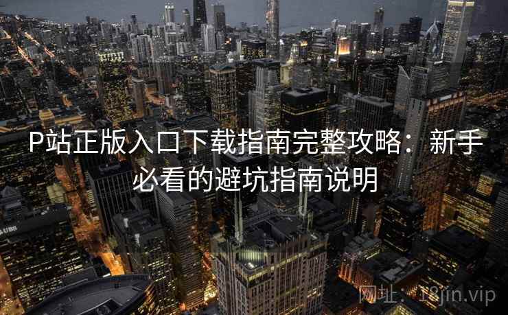 P站正版入口下载指南完整攻略：新手必看的避坑指南说明