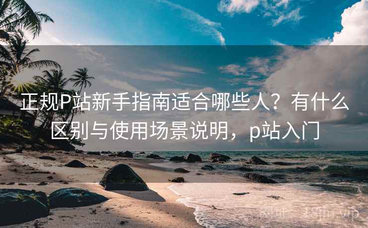 正规P站新手指南适合哪些人？有什么区别与使用场景说明，p站入门  第2张