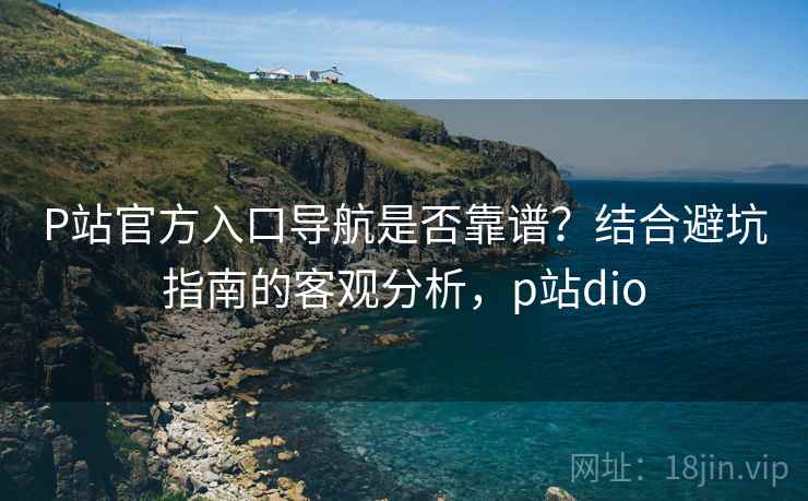 P站官方入口导航是否靠谱？结合避坑指南的客观分析，p站dio  第1张