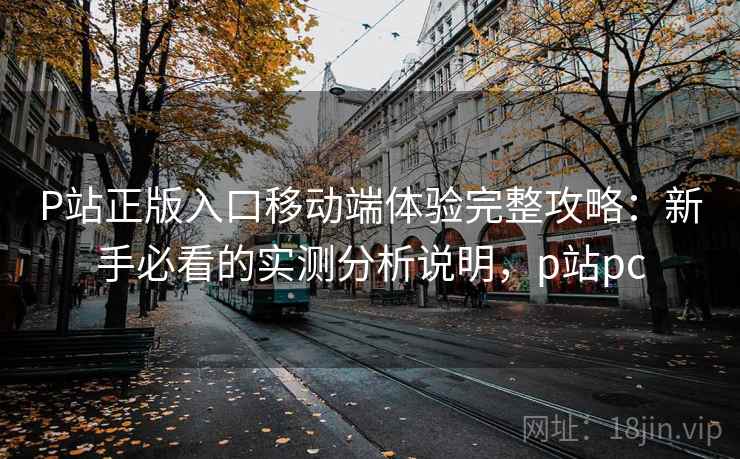 P站正版入口移动端体验完整攻略：新手必看的实测分析说明，p站pc  第2张
