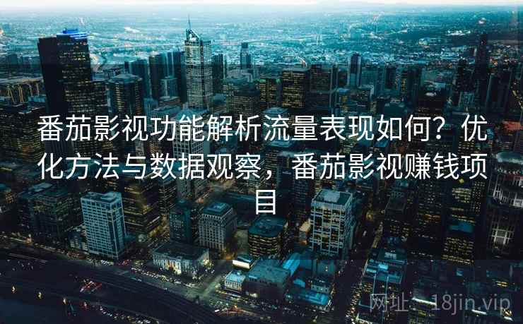 番茄影视功能解析流量表现如何？优化方法与数据观察，番茄影视赚钱项目  第1张