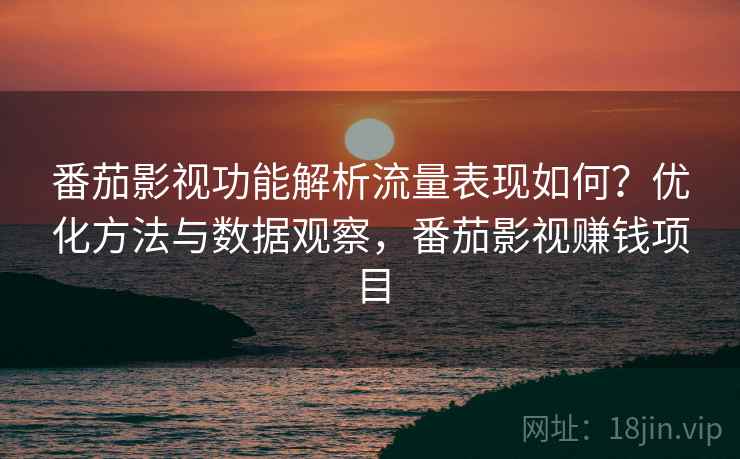 番茄影视功能解析流量表现如何？优化方法与数据观察，番茄影视赚钱项目  第2张