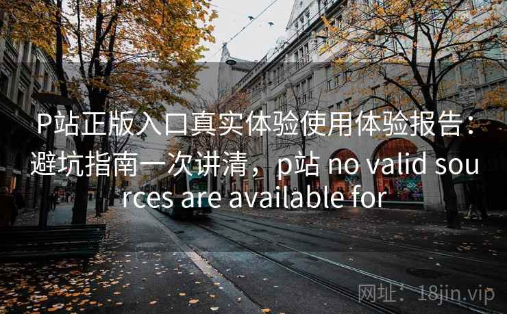 P站正版入口真实体验使用体验报告:避坑指南一次讲清,p站 no valid sources are available for 第1张 P站正版入口真实体验使用体验报告:避坑指南一次讲清,p站 no valid sources are available for 第1张