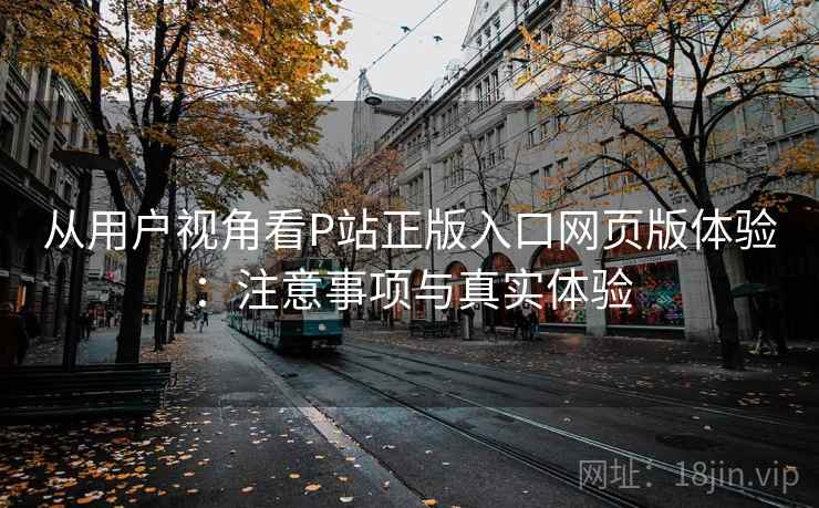 从用户视角看P站正版入口网页版体验:注意事项与真实体验 第2张 从用户视角看P站正版入口网页版体验:注意事项与真实体验 第2张