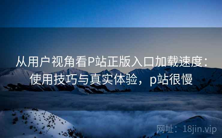 从用户视角看P站正版入口加载速度:使用技巧与真实体验,p站很慢 第2张 从用户视角看P站正版入口加载速度:使用技巧与真实体验,p站很慢 第2张
