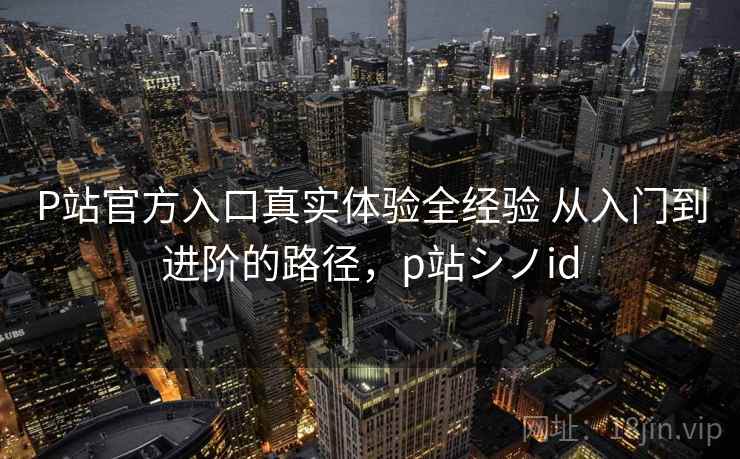 P站官方入口真实体验全经验 从入门到进阶的路径，p站シノid  第1张