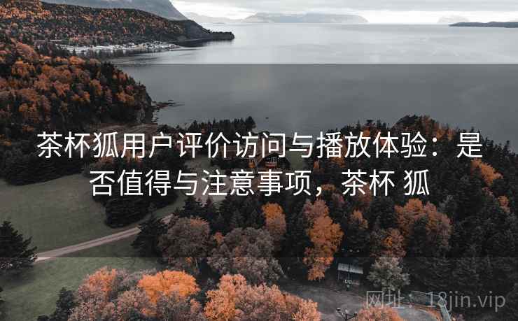 茶杯狐用户评价访问与播放体验：是否值得与注意事项，茶杯 狐  第2张