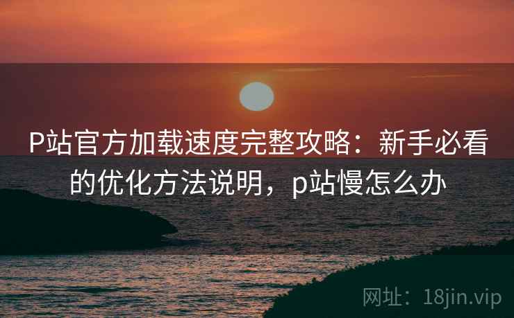 P站官方加载速度完整攻略：新手必看的优化方法说明，p站慢怎么办