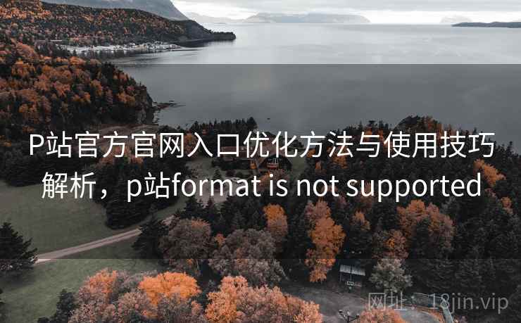 P站官方官网入口优化方法与使用技巧解析,p站format is not supported 第2张 P站官方官网入口优化方法与使用技巧解析,p站format is not supported 第2张