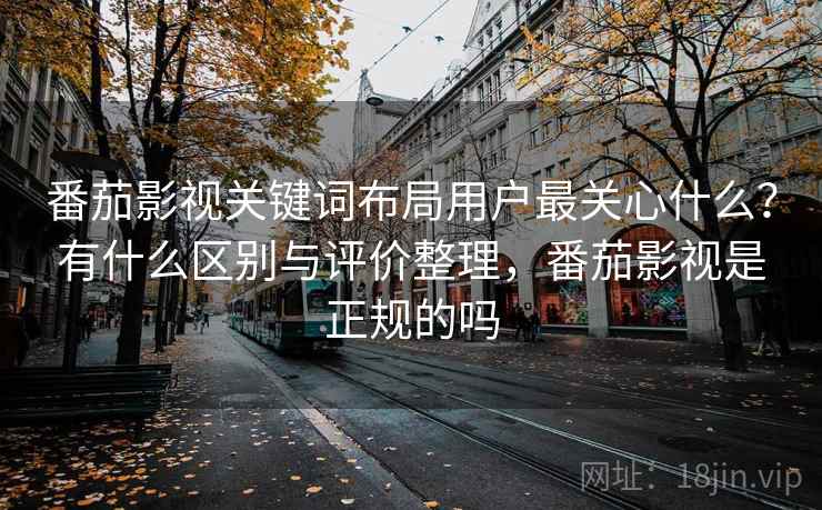 番茄影视关键词布局用户最关心什么?有什么区别与评价整理,番茄影视是正规的吗 第2张 番茄影视关键词布局用户最关心什么?有什么区别与评价整理,番茄影视是正规的吗 第2张