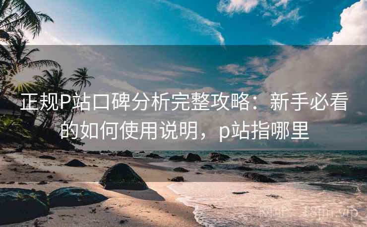 正规P站口碑分析完整攻略:新手必看的如何使用说明,p站指哪里 第1张 正规P站口碑分析完整攻略:新手必看的如何使用说明,p站指哪里 第1张