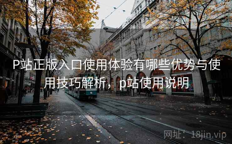 P站正版入口使用体验有哪些优势与使用技巧解析，p站使用说明  第1张