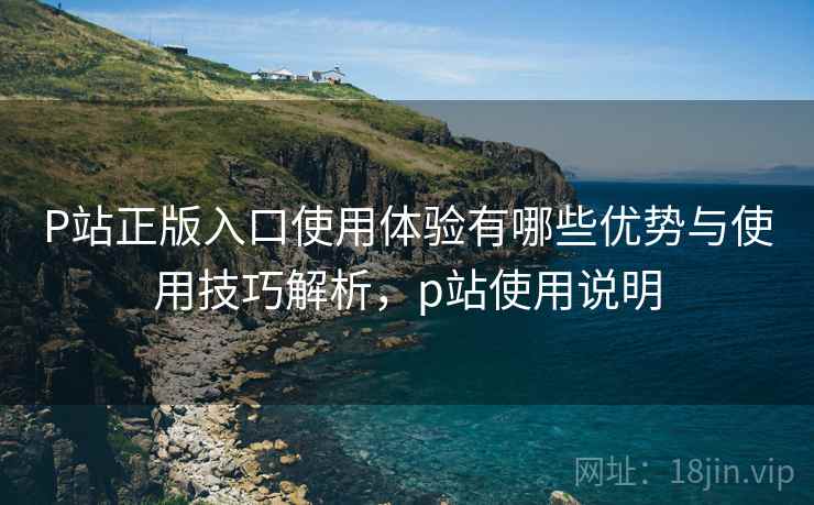 P站正版入口使用体验有哪些优势与使用技巧解析，p站使用说明  第2张