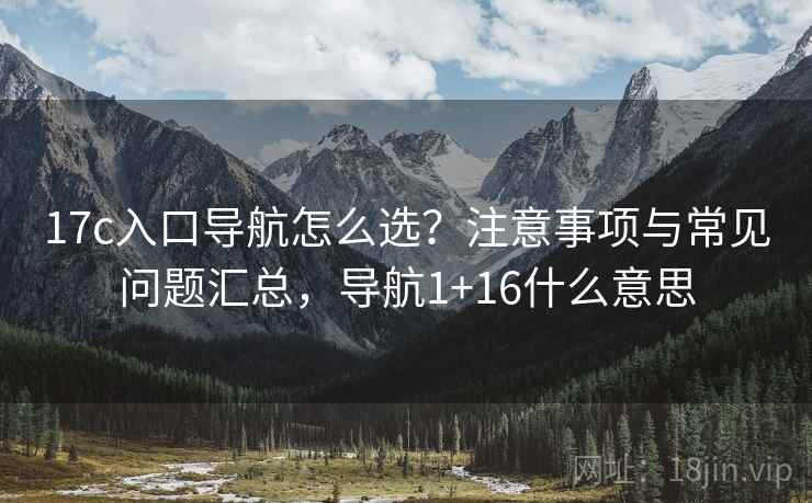 17c入口导航怎么选?注意事项与常见问题汇总,导航1+16什么意思 第2张 17c入口导航怎么选?注意事项与常见问题汇总,导航1+16什么意思 第2张