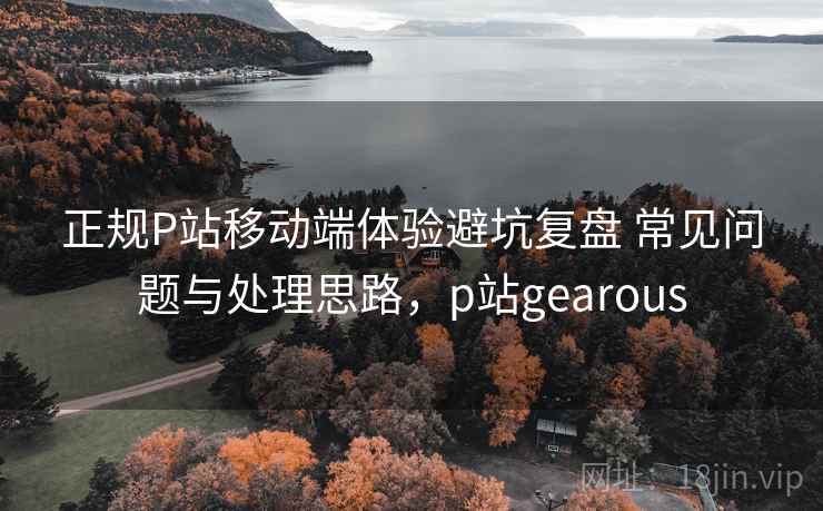 正规P站移动端体验避坑复盘 常见问题与处理思路,p站gearous 第2张 正规P站移动端体验避坑复盘 常见问题与处理思路,p站gearous 第2张