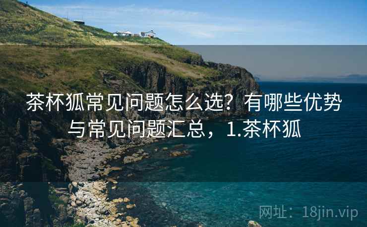 茶杯狐常见问题怎么选？有哪些优势与常见问题汇总，1.茶杯狐  第1张