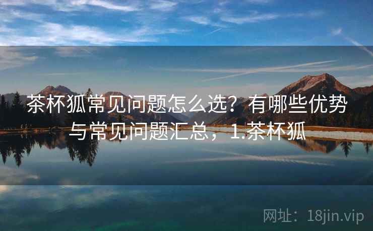 茶杯狐常见问题怎么选？有哪些优势与常见问题汇总，1.茶杯狐  第2张