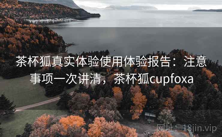 茶杯狐真实体验使用体验报告:注意事项一次讲清,茶杯狐cupfoxa 第2张 茶杯狐真实体验使用体验报告:注意事项一次讲清,茶杯狐cupfoxa 第2张
