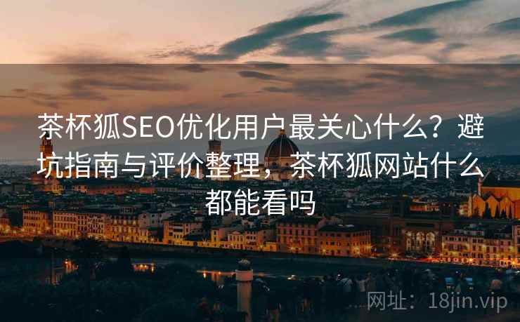 茶杯狐SEO优化用户最关心什么？避坑指南与评价整理，茶杯狐网站什么都能看吗