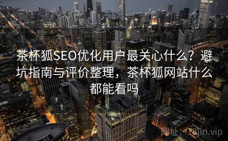 茶杯狐SEO优化用户最关心什么?避坑指南与评价整理,茶杯狐网站什么都能看吗 第2张 茶杯狐SEO优化用户最关心什么?避坑指南与评价整理,茶杯狐网站什么都能看吗 第2张