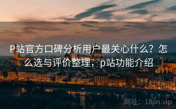 P站官方口碑分析用户最关心什么？怎么选与评价整理，p站功能介绍  第1张